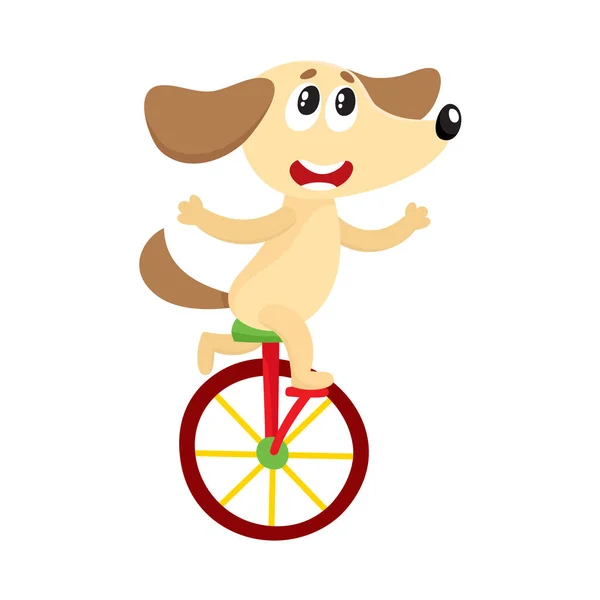 Şirin küçük köpek, köpek yavrusu karakter binicilik bisiklet, tek tekerlekli sirk bisikletine, Bisiklete binme — Stok Vektör