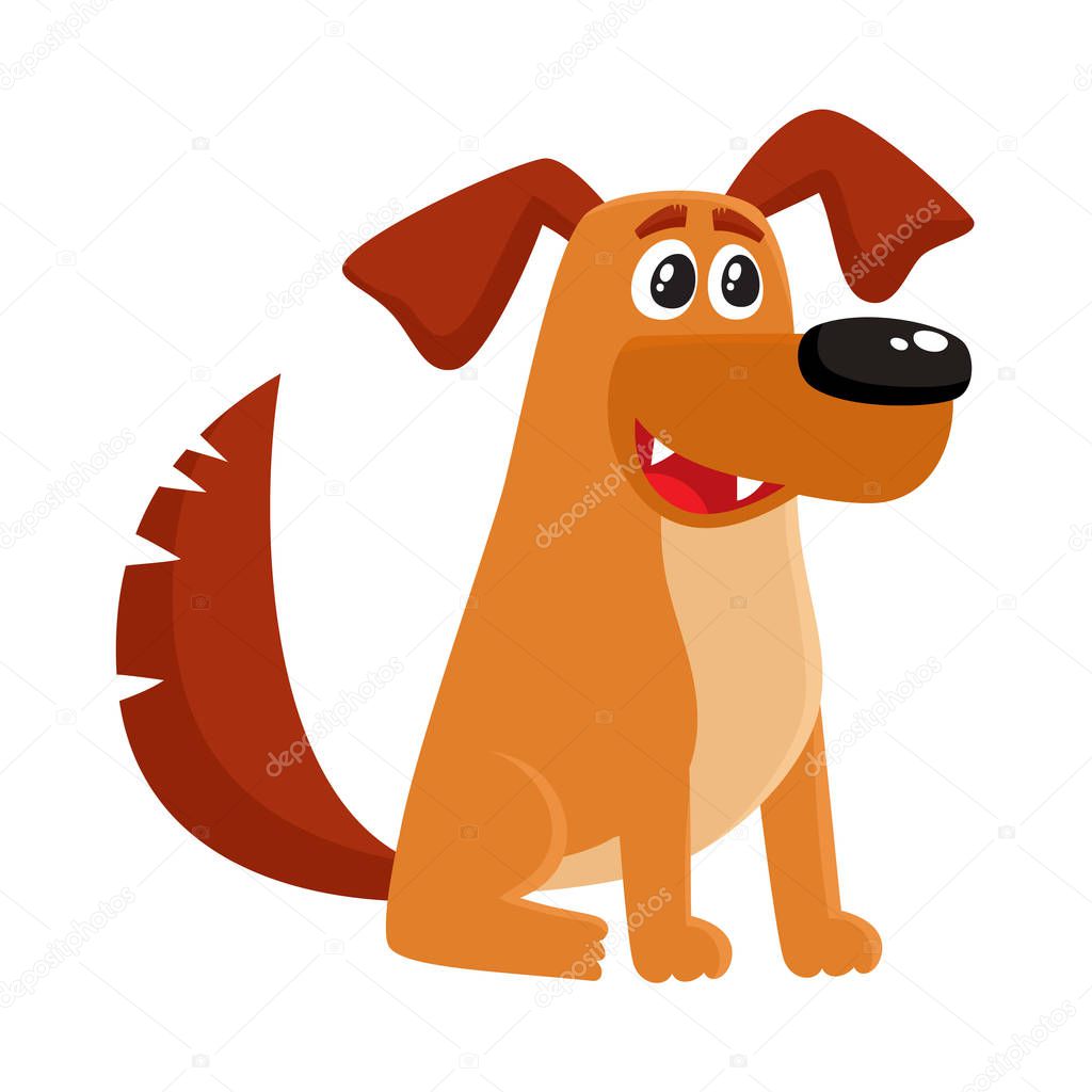 Brown funny house dog, puppy character sitting