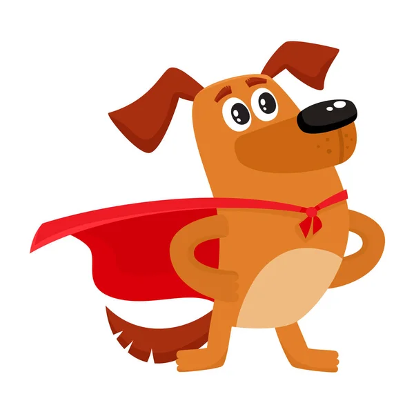 Funny dog character in red cape standing as hero — Stock Vector