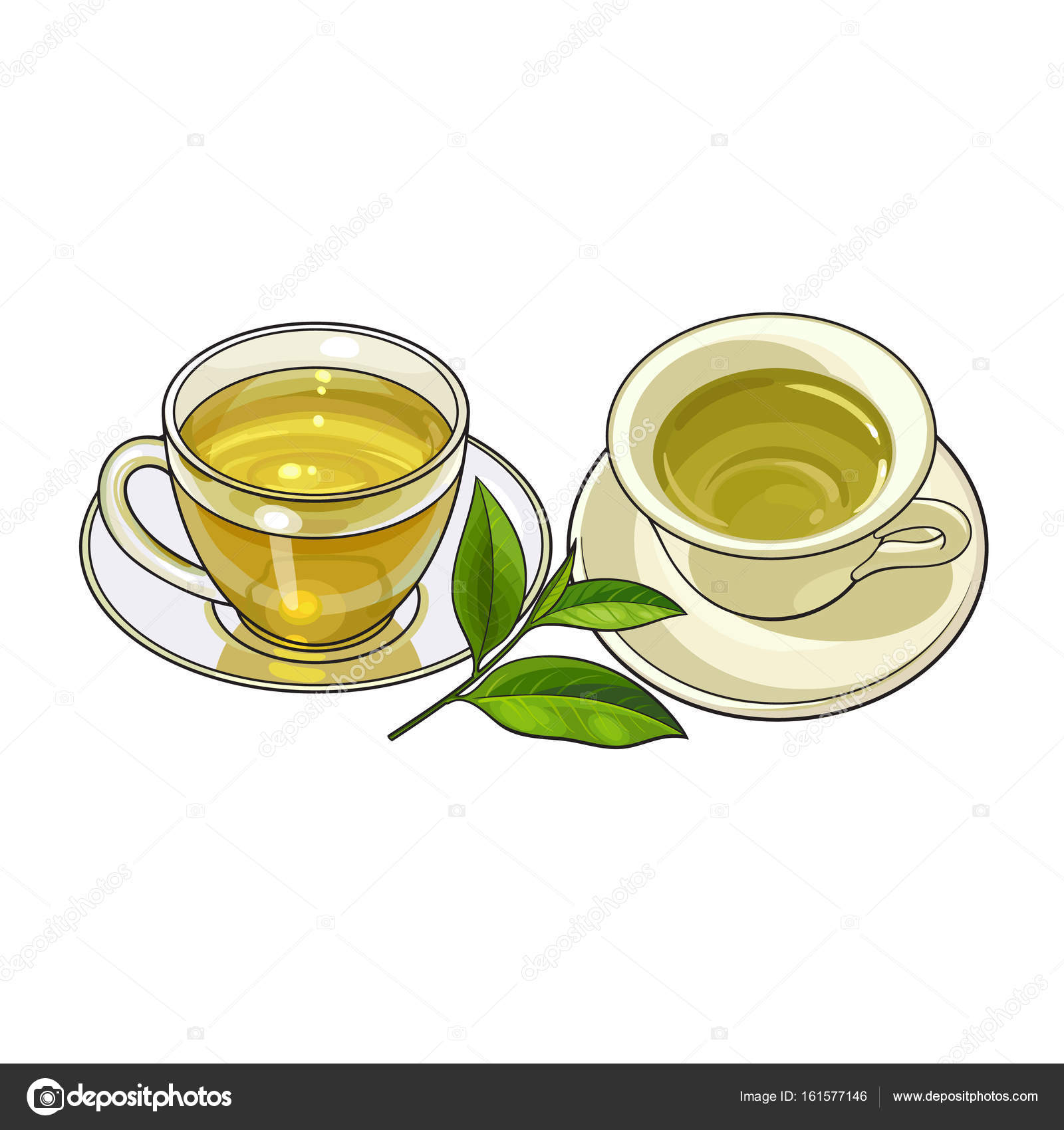 Porcelain, glass mug, saucer sets, green tea leaf Stock Vector by