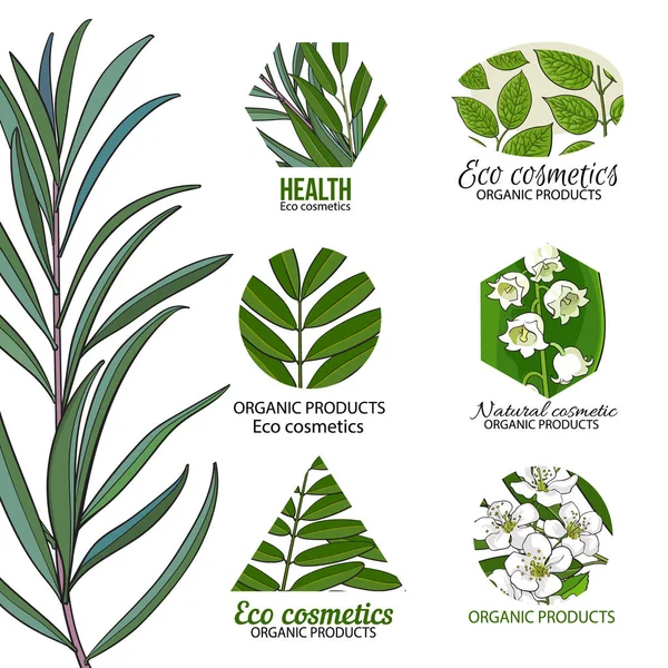 Набір логотипів екологічної косметики з листям та квітами — стоковий вектор