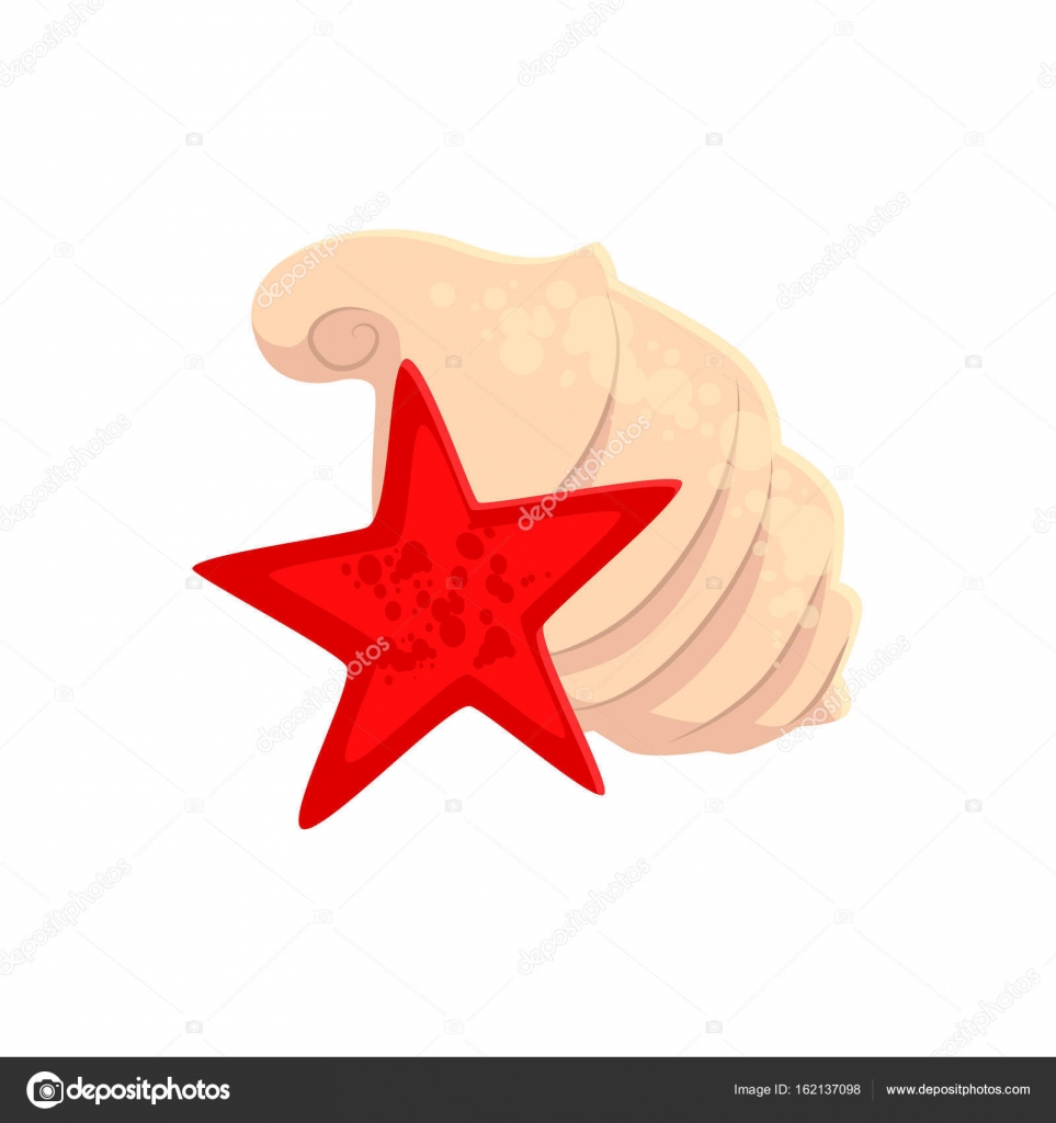 Cartoon spiral sea shell and star fish Stock Illustration by