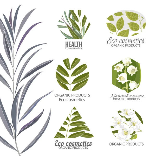 Eco cosmetics logo set with leaves and flowers