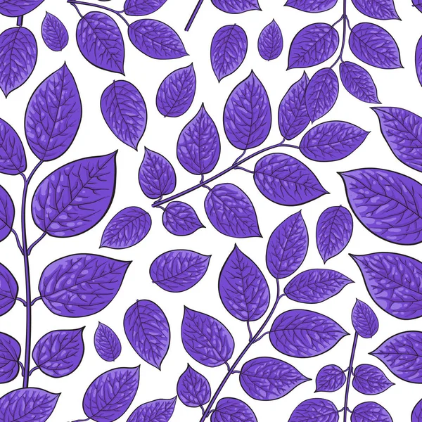 无缝模式的桦木，紫色的金银花叶 — 图库矢量图片