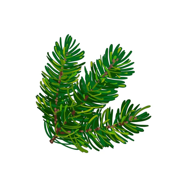 Hand drawn triple fir tree twig, branch, spruce — Stock Vector