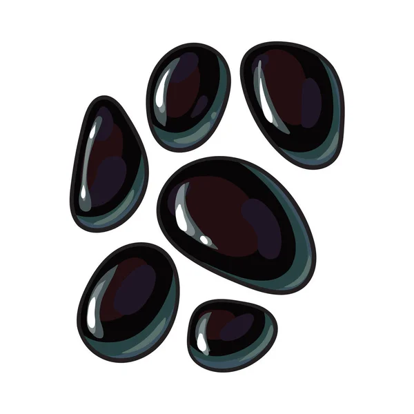 Комплект блестящих черных камней для массажа, принадлежности для спа-салонов — стоковый вектор