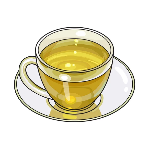 Coupe en verre dessinée à la main, tasse de boisson au thé vert — Image vectorielle