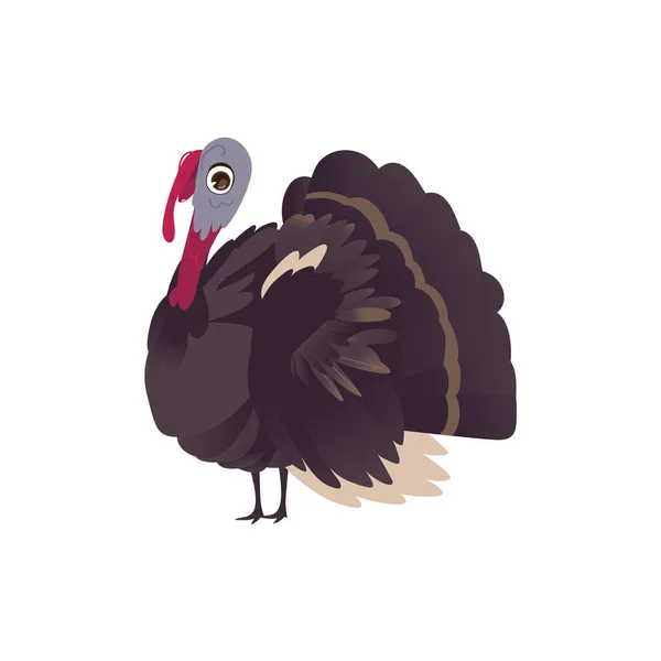 Lustige große Bauernhof Henne Türkei, Cartoon-Illustration — Stockvektor