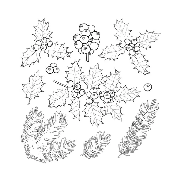 Елка и ветви омелы, листья, ягоды — стоковый вектор