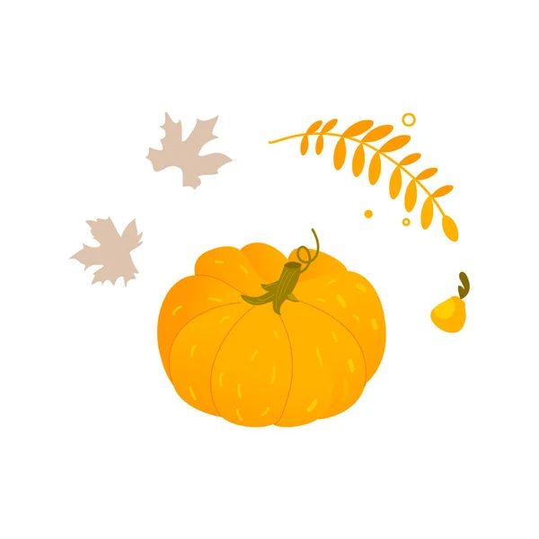 Cartoon pumpkin, Halloween, Thanksgiving symbol — Stock Vector