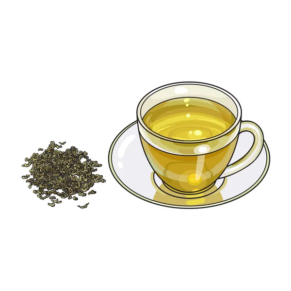 Скляна чашка, тарілка і свіжий зелений чайний лист — стоковий вектор