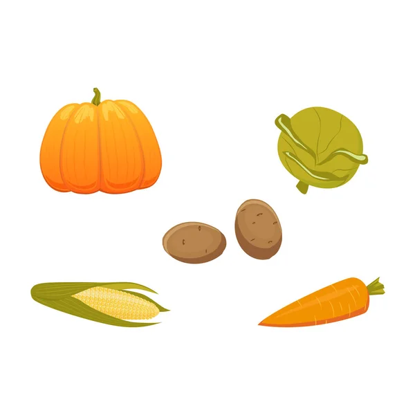 Vector harvest vegetables set isolated — Stock Vector