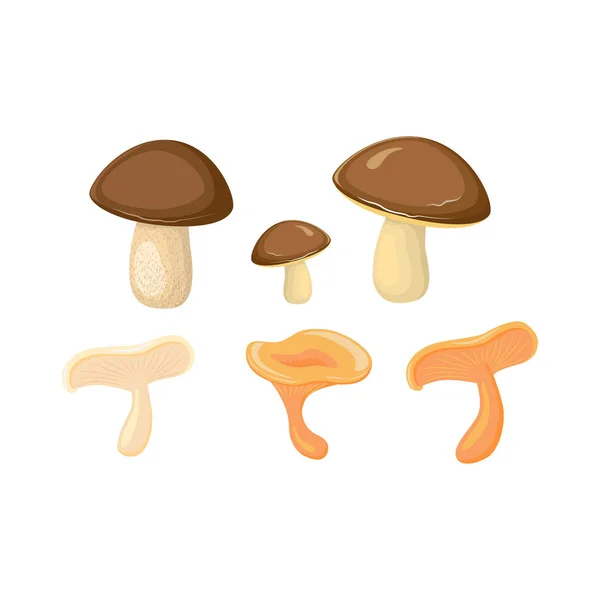 Векторные различные грибы мультфильма набор изолированных — стоковый вектор