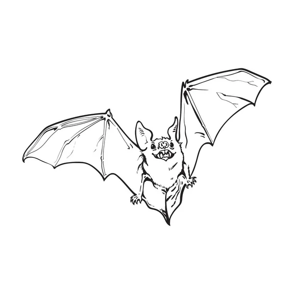 Asusta volar murciélago vampiro de Halloween, ilustración vectorial estilo boceto aislado — Vector de stock