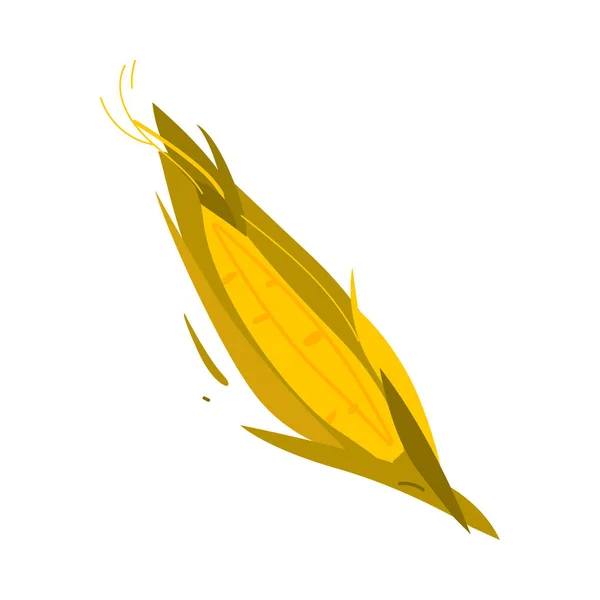 Caricature, épi de maïs de style plat, oreille avec feuilles — Image vectorielle