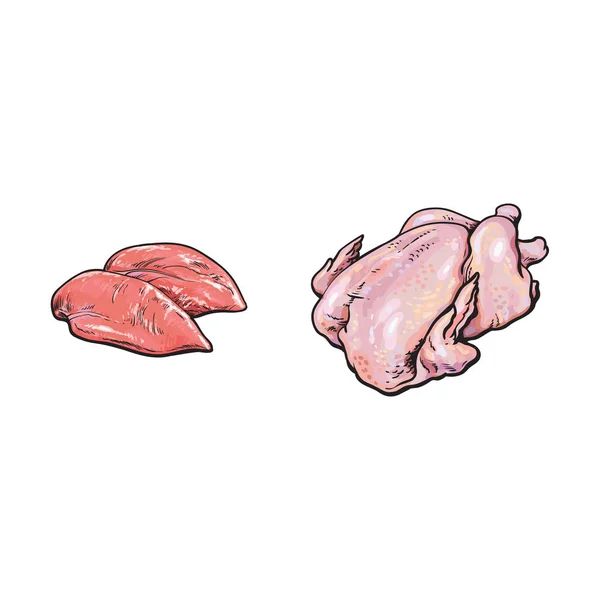 ベクトル鶏の死骸、分離肝スケッチ セット — ストックベクタ