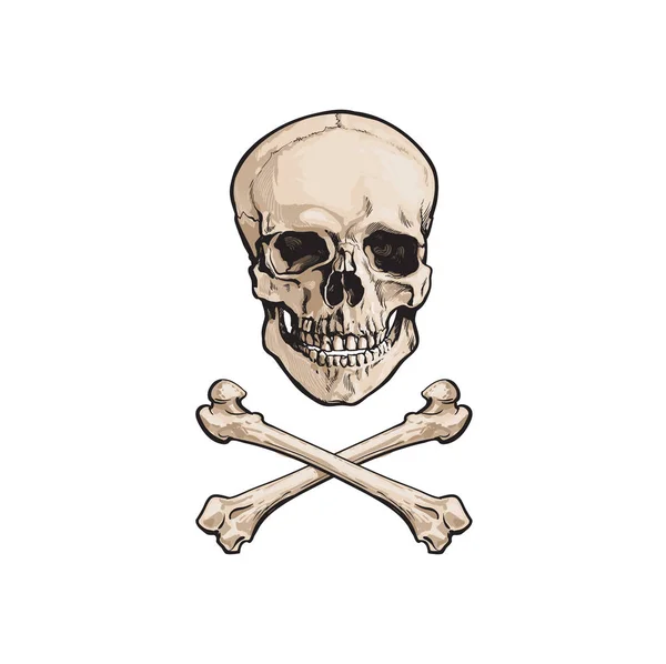 Cranio del fumetto vettoriale e ossa incrociate isolate — Vettoriale Stock