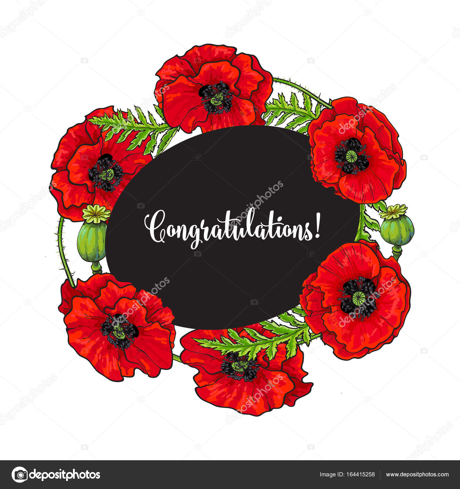 vector red poppy flower blossom blooming template stock vector