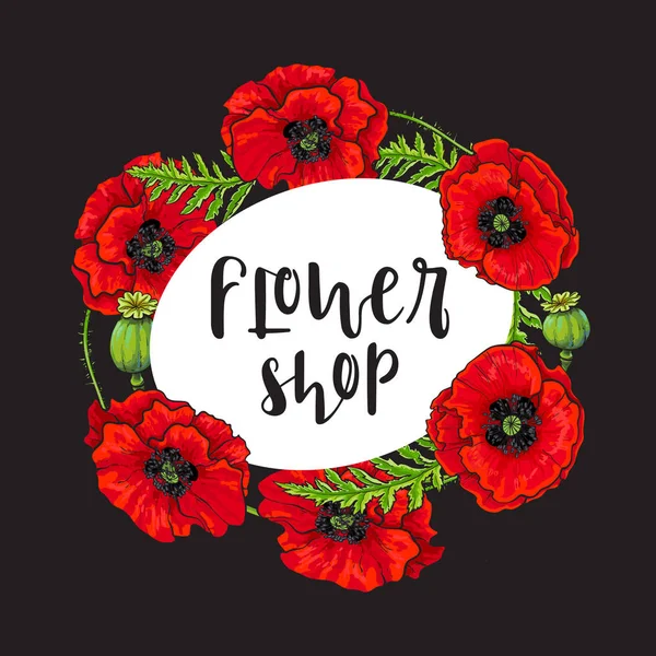 Vector rojo amapola flor flor flor plantilla de floración . — Vector de stock