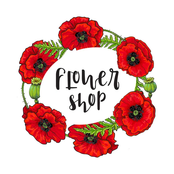 Vector rojo amapola flor flor flor plantilla de floración . — Vector de stock