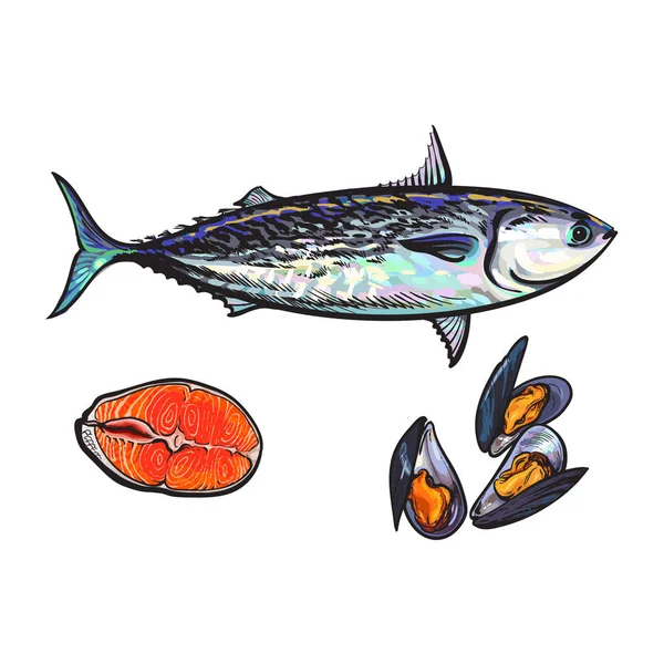 Vector bosquejo pescado atún, filete de salmón, mejillones — Vector de stock