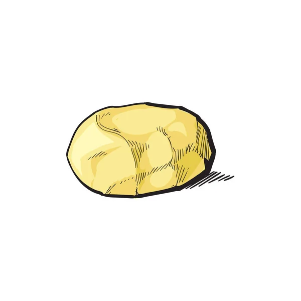 Schizzo vettoriale cartone animato maturo patata pelata cruda — Vettoriale Stock