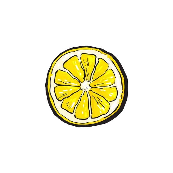 벡터 만화 다채로운 익은 레몬의 절반 스케치 — 스톡 벡터