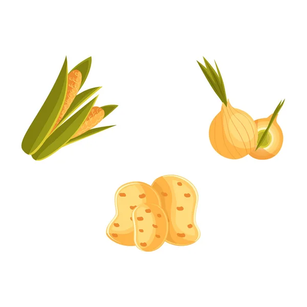 农产品-马铃薯、 玉米和洋葱的蔬菜 — 图库矢量图片