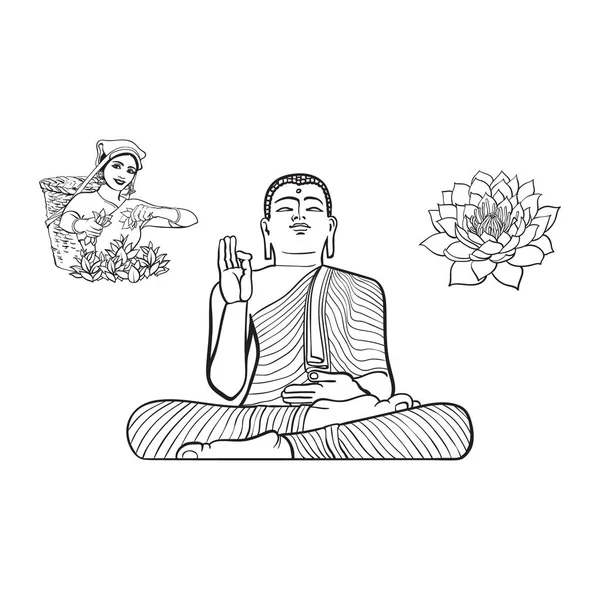 Vecteur bouddha statue femme thé cueilleur lotus fleur — Image vectorielle