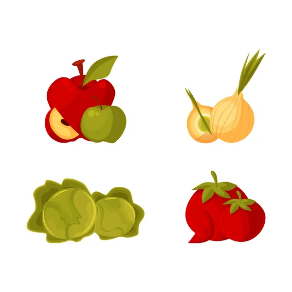 Produits agricoles - pomme, oignon bulbe, chou, tomate — Image vectorielle