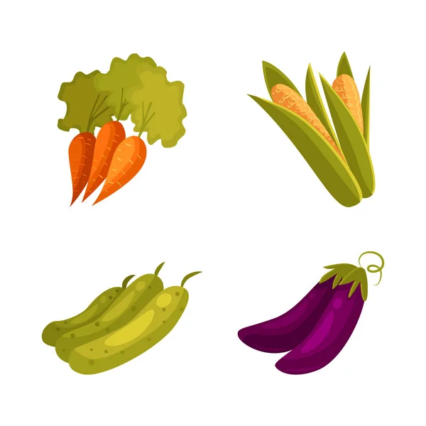 Produits agricoles - maïs, carotte, courgette, aubergine — Image vectorielle