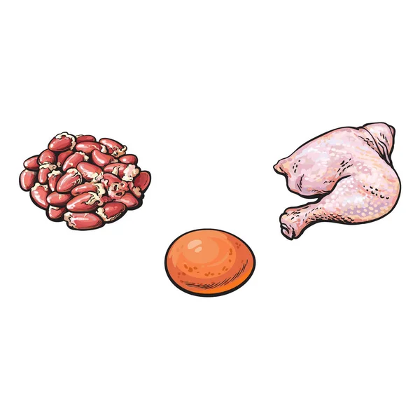 Vector chicken egg, cutted leg meat gizzards offal — Stock Vector