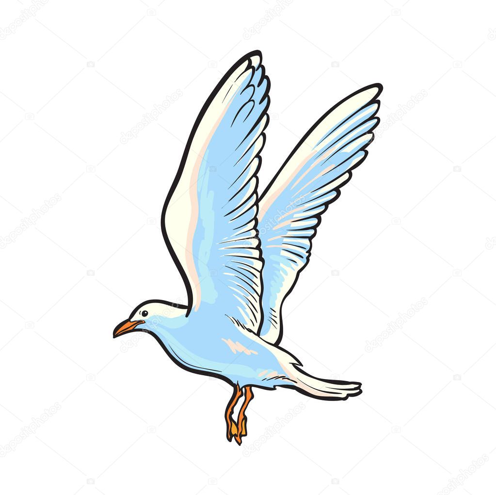 Flying seagull, hand drawn vector illustration — Stock Vector