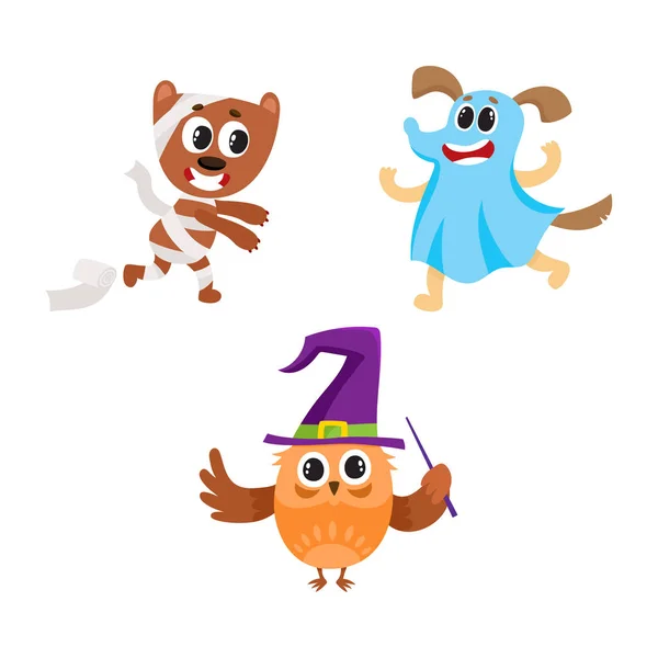 Cadılar Bayramı kostümleri baykuş, köpek ve ayı karakterler — Stok Vektör