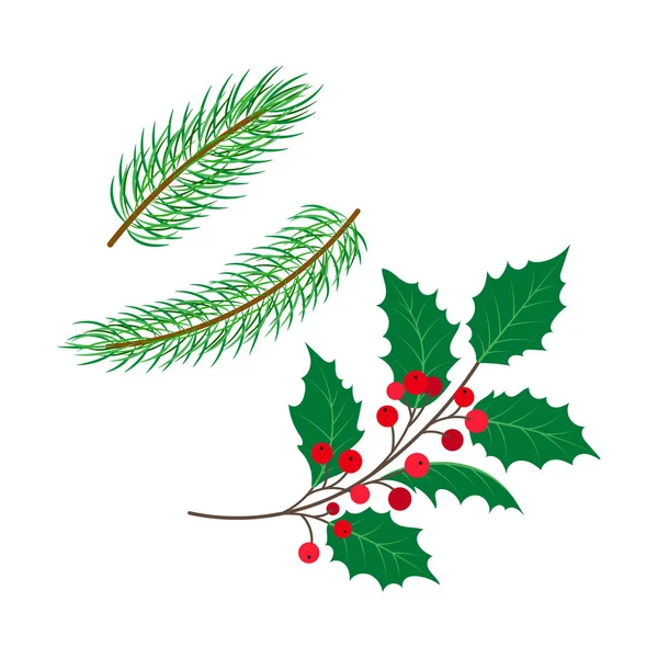 Vektor lapos holly, Luc levelei ág berry készlet. — Stock Vector