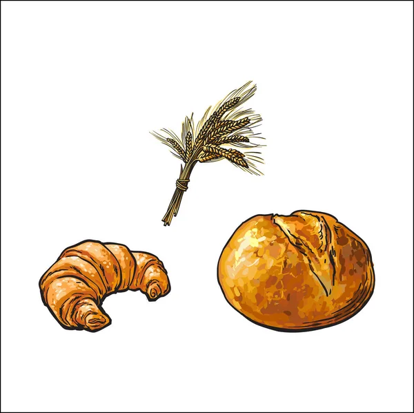 Vetor esboço pão branco Croissant trigo orelhas conjunto —  Vetores de Stock