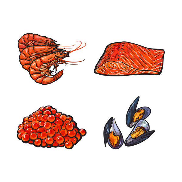 vector sketch seafood set isolated