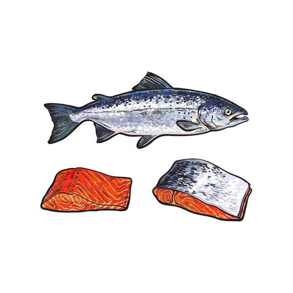 Vetor peixe de salmão vermelho do mar, conjunto de filetes de carne —  Vetores de Stock