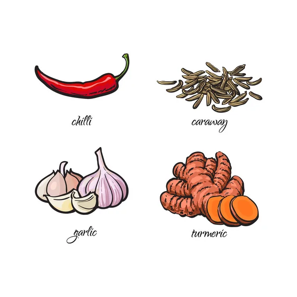 Chilipeper, knoflook, kurkuma en karwij zaden — Stockvector