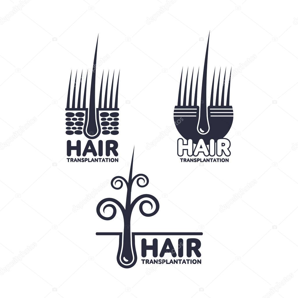 Hair transplantation logo, logotype template set