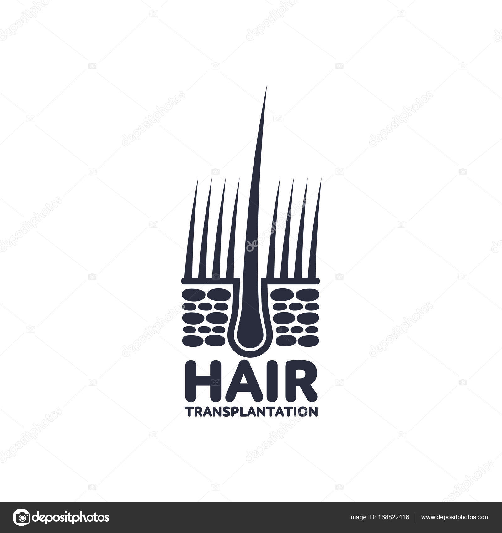 Vector Hair Follicle In Hair Bulb Icon Stock Vector C Sabelskaya