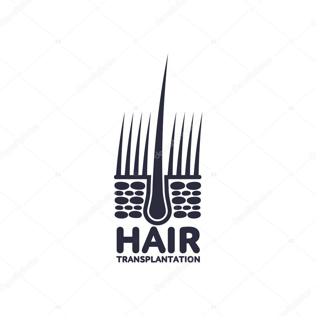 vector hair follicle in hair bulb icon