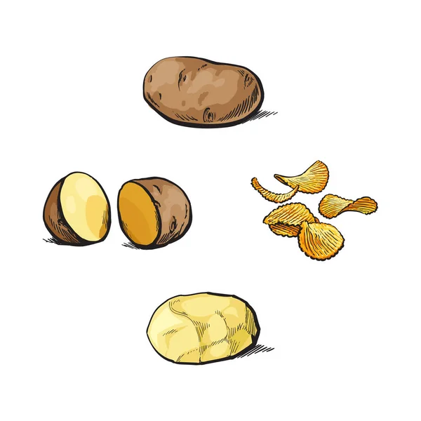 Patatas y patatas fritas enteras, cortadas, peladas y sin pelar — Vector de stock