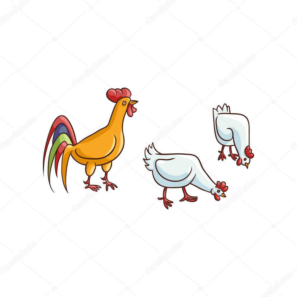 vector sketch hand drawn rooster, chicken set