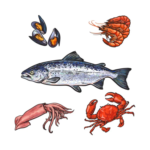 Vector sketch seafood objects set isolated — Stock Vector