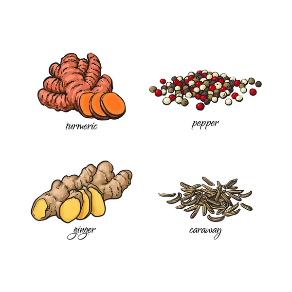 Vector platte schets specerijen, kruiderijen kruiden set — Stockvector