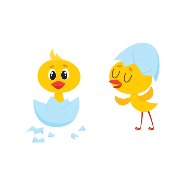 Vector de dibujos animados lindo pollo personajes conjunto . — Vector de stock