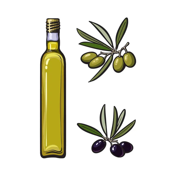 Vector bosquejo aceite de oliva icono del logotipo aislado — Vector de stock