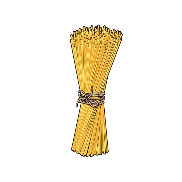 Кучка спагетти, завязанных веревкой, итальянская паста — стоковый вектор