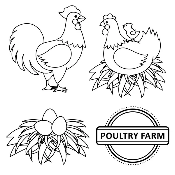 Vector flat poutry, farm chicken set — Stock Vector